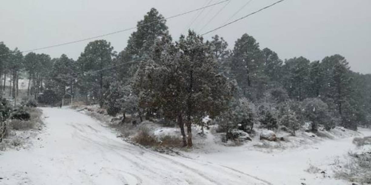 Las autoridades pidieron a la sociedad mexicana a abrigarse de forma correcta porque el frío será intenso.