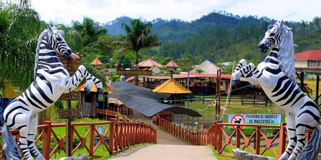 En julio de 2020, la policía de Guatemala lo detuvo junto a otra persona decomisándole dos cajas con 100 municiones de calibre 22 milímetros y 130 mil quetzales.