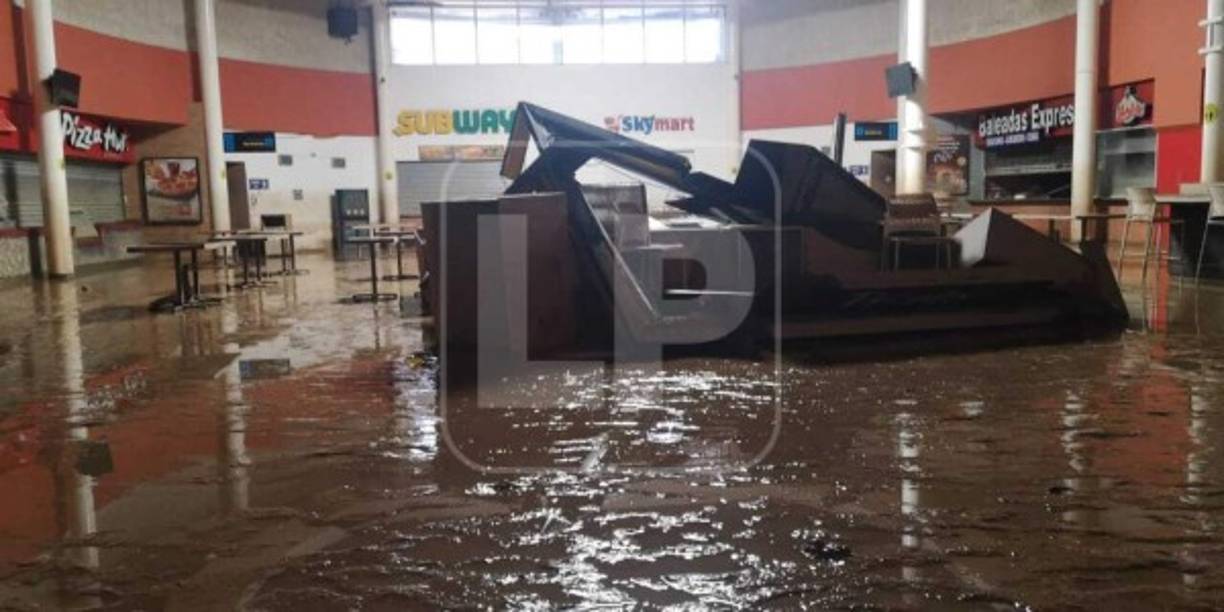 Recordó que el reto sigue siendo habilitar el aeropuerto este año y dijo que en todo este proceso aún se desconocen algunas cosas con las que pudieran encontrarse, y es posible, represente un retraso. Ayer se limpiaba la pista para que puedan aterrizar vuelos humanitarios.