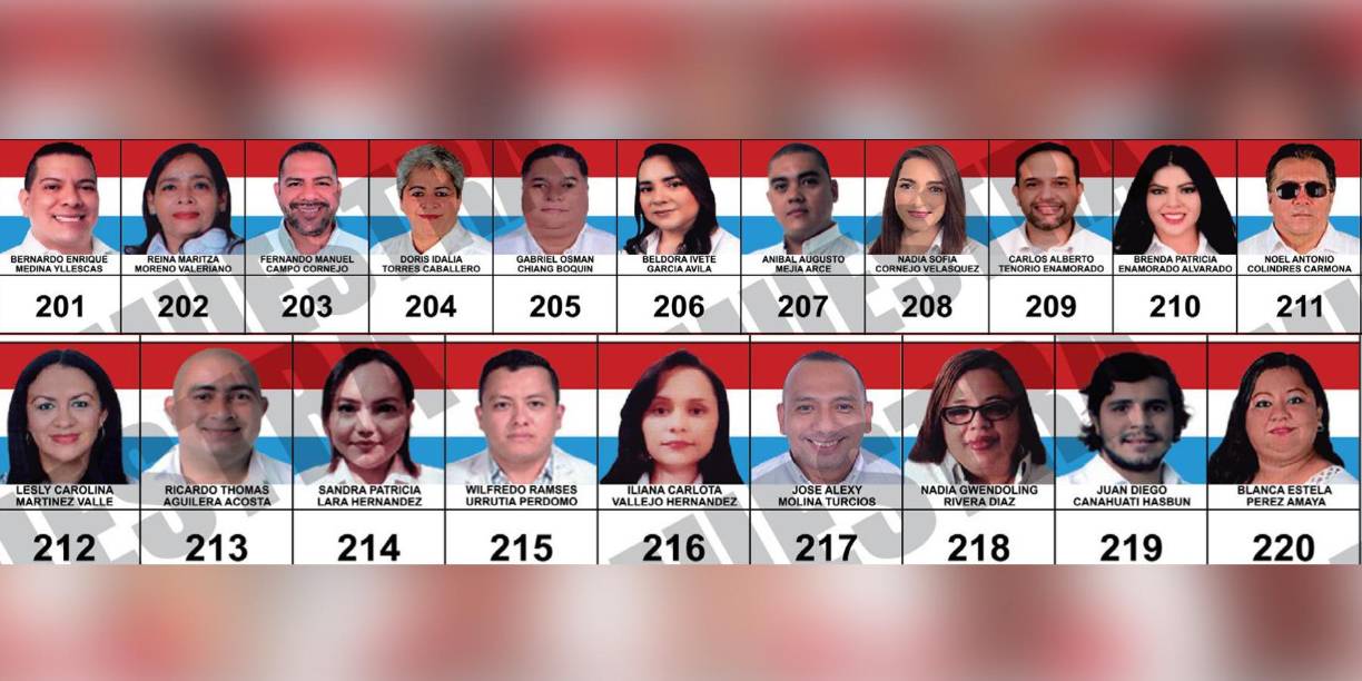 Planilla del Partido Todos Somos Honduras (TSH) | (Ampliar imagen si es necesario)