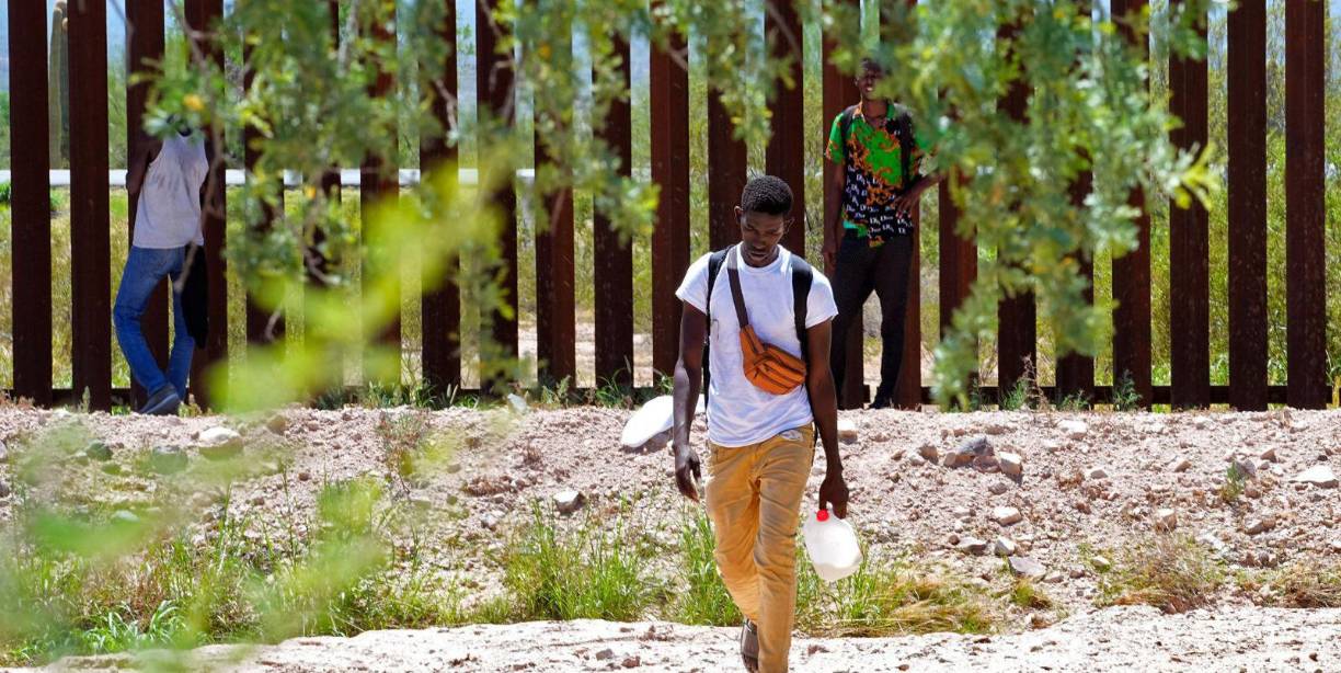 La barrera, según se añadió, también afectó a la vida salvaje de la zona. Aunque algunas partes tenían en la base aperturas para que cruzaran animales pequeños, no eran lo suficientemente amplias como para que pasaran otros más grandes, como los lobos.
