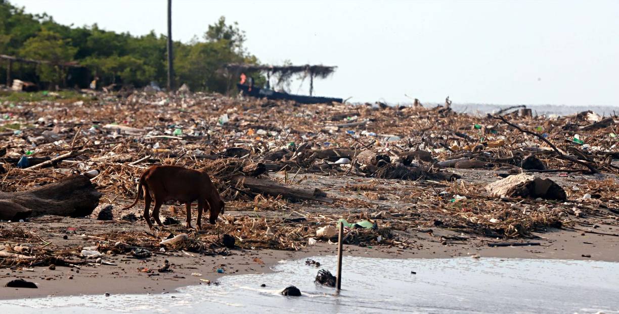 La basura no afecta únicamente la biodiversidad de la región, sino su economía, a través del turismo. Omoa es uno de los más emblemáticos sitios turísticos de playa en el Caribe de Honduras. 