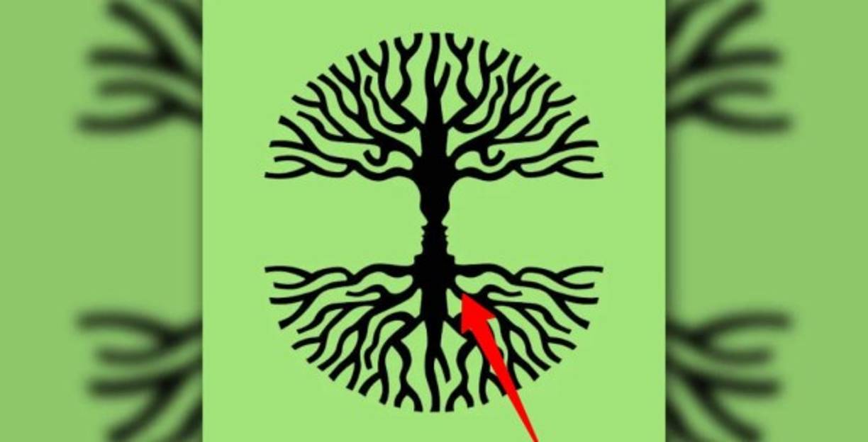 Copa del árbol: energía creativa<br/><br/>Si lo primero que has visto es la copa del árbol, hoy es un día ideal para aprovechar un gran caudal de energía creativa. Tendrás ideas interesantes, fuera de lo habitual, y sentirás que se expande tu capacidad para pensar de manera lateral. Si dudas acerca de iniciar un nuevo proyecto, aprovecha esta energía para bajar al papel todos tus pensamientos.