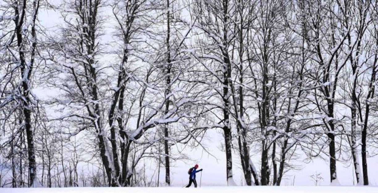 Este glacial episodio sobre Europa está causado por masas de aire polar que bajan de Escandinavia hacia el centro del continente.