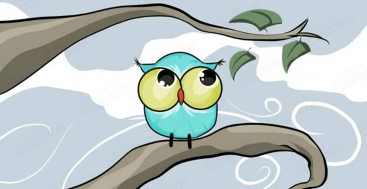 5. El búho deprimido. El búho número 5 es bastante simple de comprender y se sobreentiende con sólo mirar la imagen. Es un búho con mirada soñadora en un día desagradable, frío y lluvioso. <br/>Si el animal que más ha atraído tu atención es este, significa que eres una persona muy pesimista. No puedes hacer nada con ello, es parte de tu naturaleza. Es muy complicado que cambies de forma de pensar y establecer amistades que duren muchos años.<br/>Intenta ser más amistoso con la gente y abrir tu corazón. Te podemos asegurar que te sentirás mejor.