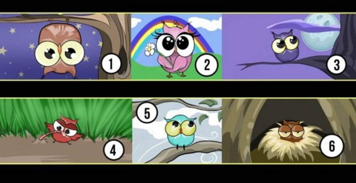 En la red puedes encontrar numerosos tests psicológicos interesantes. La mayoría de ellos consiste en elegir aquellos que mejor te describen o que por alguna razón desconocida más atrae tu atención. Lo que para ti puede ser un misterio, para los psicólogos de renombre del mundo es una información muy valiosa de lo que puede pasar en tu interior. Es porque estudian todo aquello que tú no registras de manera consciente, sino eliges a partir de tu intuición. Sin embargo, detrás de ella se esconde un proceso cognitivo avanzado, pero apartado por el cerebro porque sería una cantidad de datos demasiado grande para analizar en un periodo de tiempo muy corto. Después de esta corta introducción, te invitamos a participar del siguiente test: elige el búho con el que te sientes más familiarizado y descubrirás algo increíble de ti. ¿Lo tienes?