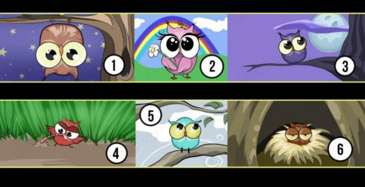 Participa en este tests psicológico y descubre tu personalidad.