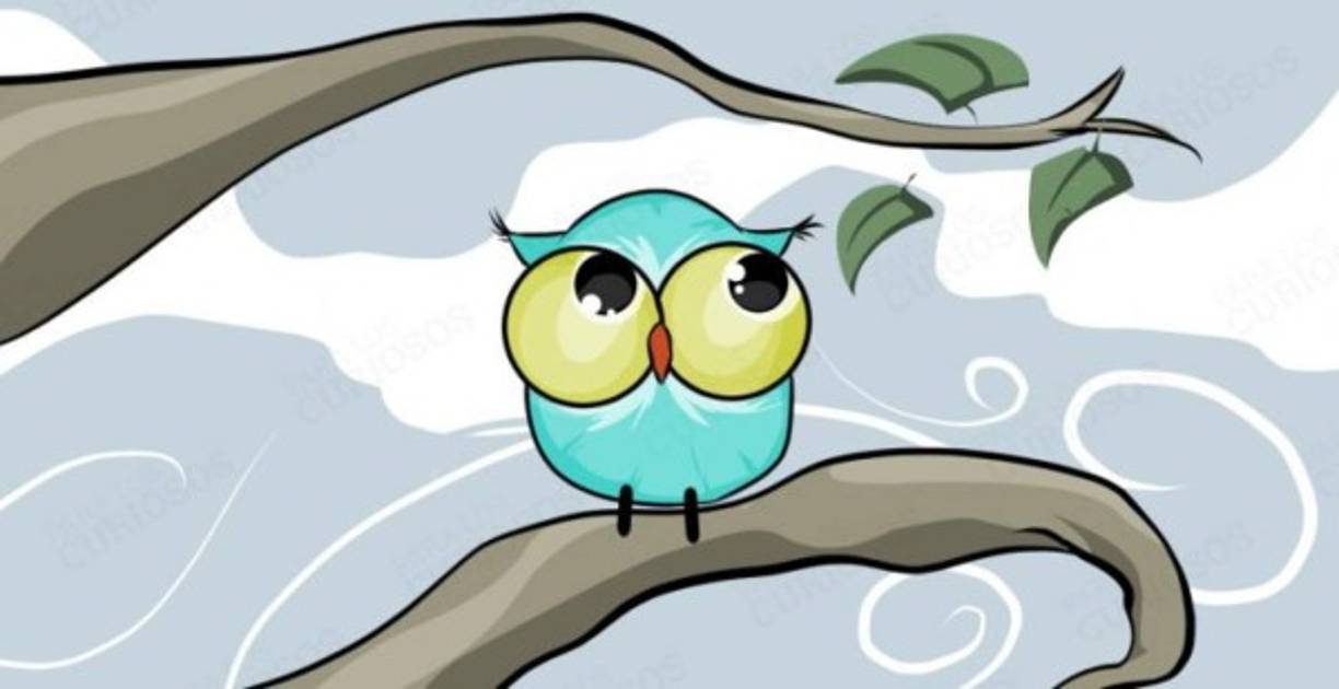 5. El búho deprimido<br/><br/><br/>El búho número 5 es bastante simple de comprender y se sobreentiende con sólo mirar la imagen. Es un búho con mirada soñadora en un día desagradable, frío y lluvioso. Si el animal que más ha atraído tu atención es este, significa que eres una persona muy pesimista. No puedes hacer nada con ello, es parte de tu naturaleza. Es muy complicado que cambies de forma de pensar y establecer amistades que duren muchos años. Intenta ser más amistoso con la gente y abrir tu corazón. Te podemos asegurar que te sentirás mejor.