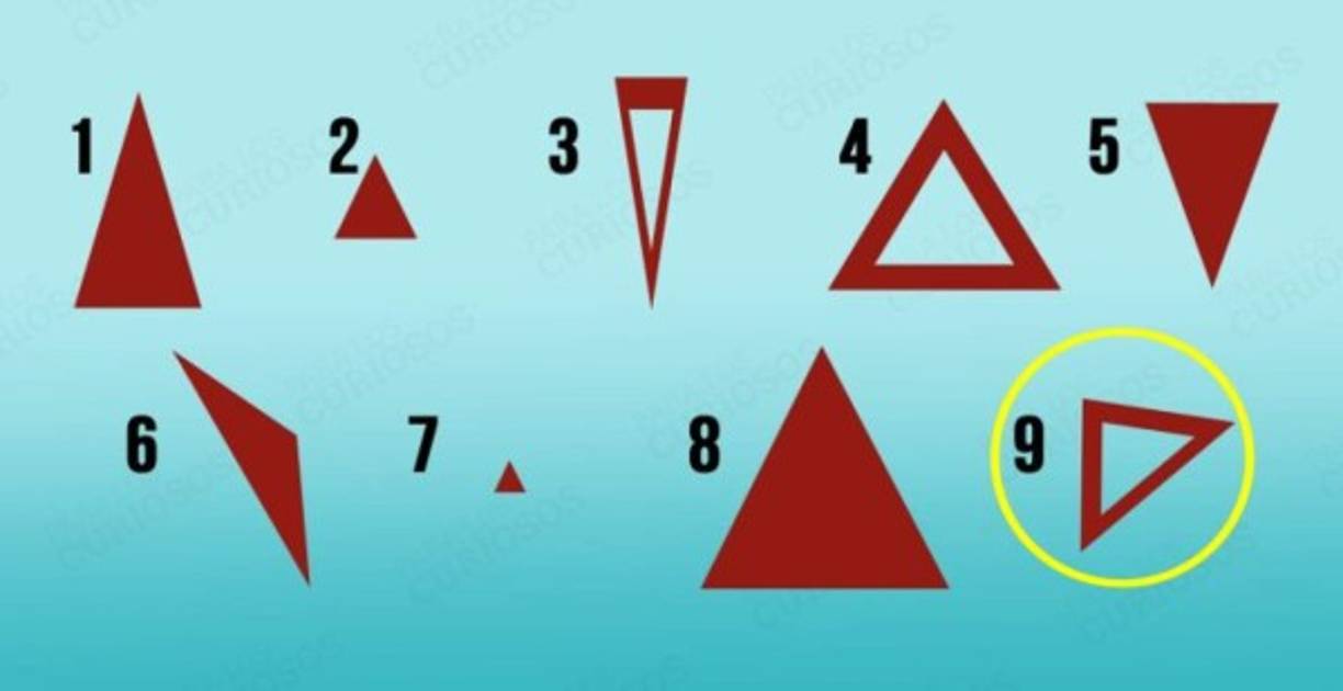 La rutina repetitiva no es para ti. Ansías descubrir nuevas cosas y vivir historias apasionantes cada mes. No eres alguien normal, y todos lo que te conocen coinciden en que tu brillo de los ojos imita al de algunos felinos de la sabana. Sigues tus instintos y no te dejas presionar por lo que se considera “ordinario”.