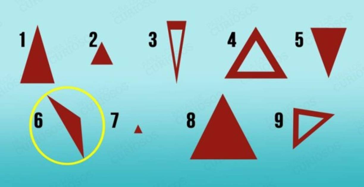 Haces lo que quieres en tus vivencias, sin preocuparte mucho sobre las consecuencias hasta que aparecen, entonces lidias con ellas, pero como meros trámites burocráticos. Amas la diversidad y aprender algo nuevo en cada jornada, probar comida, conocer otras culturas, leer libros, ir al cine, escuchar conciertos, y no dejarte llevar por la depresiva sociedad actual. Prefieres arriesgarte e intentar algo que nunca hiciste a no hacerlo.