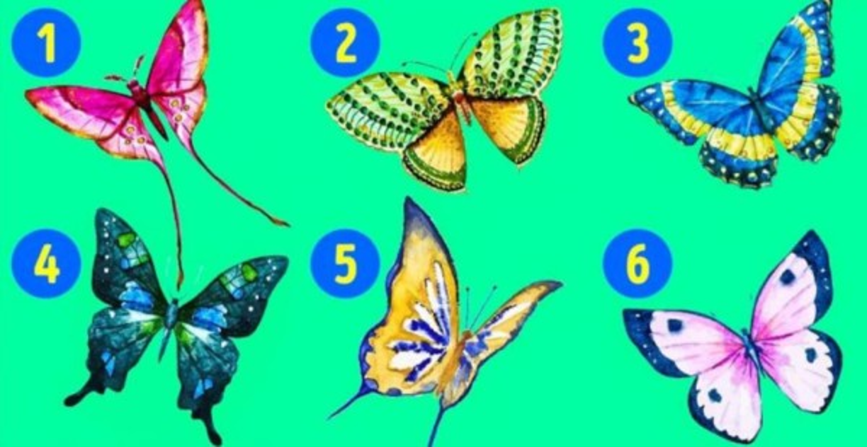 Nuestro subconsciente simboliza las mariposas de muchas maneras diferentes. Analiza sus colores, formas y composiciones sin que nos demos cuenta de lo que esto significa. Elige una mariposa y descubre un lado de tu personalidad.