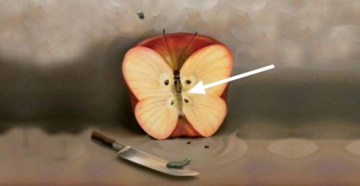 Por otra parte, si lo primero que viste fue una mariposa, puede que a lo que más le tengas temor sea a el hecho de ser traicionado. Sin embargo, si fue la oruga lo primero que llamó tu atención puede que tu miedo provenga de todo lo relacionado a eventos paranormales.<br/><br/>