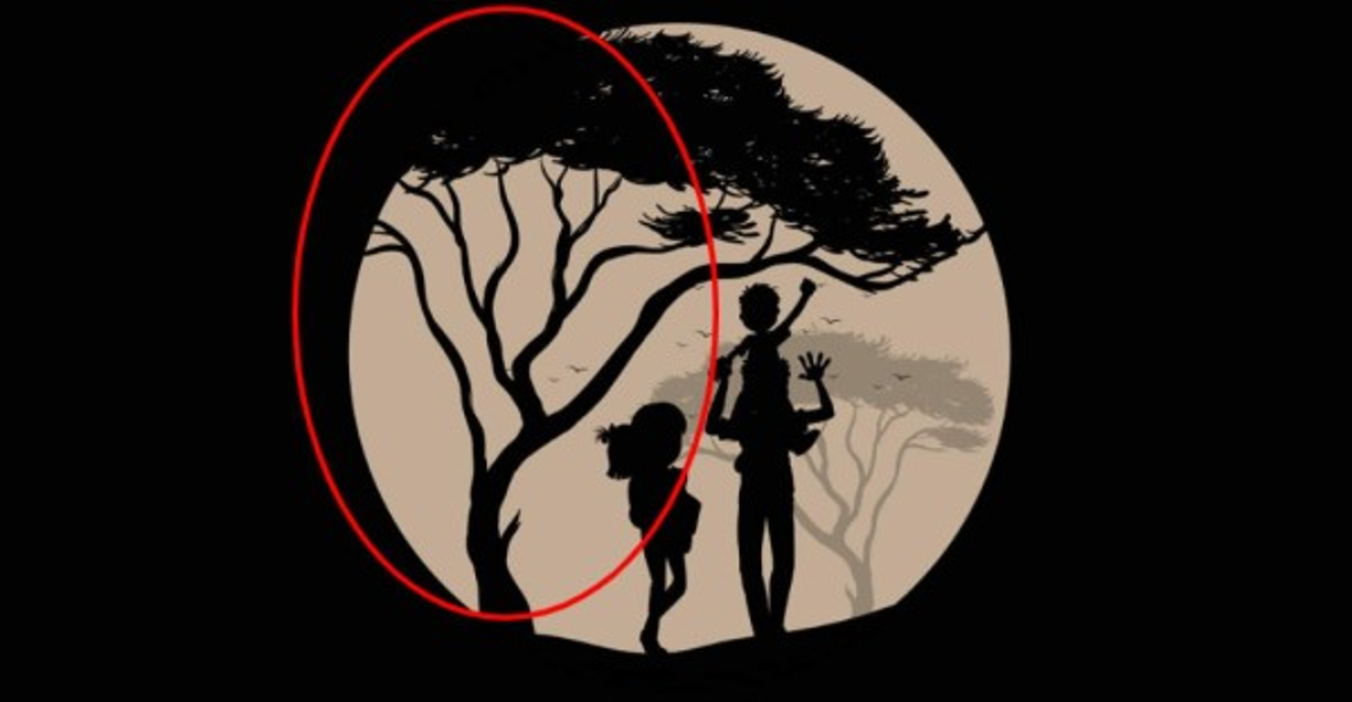 Si viste primero los árboles<br/><br/>¿Realmente te detuviste primero en ese detalle? Bueno, sin dudas eres una persona muy particular. Te diferencias del resto, y lo sabes. Tu subconsciente tiene mucho que ver en eso: está siempre trabajando y queriendo salir afuera, demostrando toda su intuición y creatividad.<br/><br/>Mirar en donde otros no ven puede ser tu mejor ventaja, y aunque a veces eso mismo te haga sufrir, no debes desanimarte: tu percepción especial es un regalo, y pronto te darás cuenta.