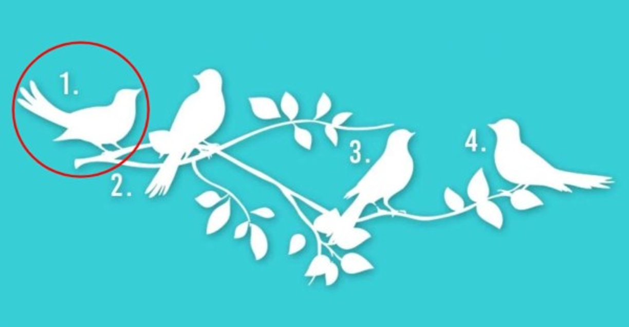 Pájaro 1<br/><br/>Si has escogido este pájaro tu propósito en la vida quizás se vincule con generar avances en el terreno de conocimiento. Tienes honestidad, rectitud, inteligencia y vocación de liderazgo. Deberás trabajar para que lo que hagas no sólo te aporte a ti, sino también a todos los que te rodean. Comparte el conocimiento y los frutos de tu trabajo.