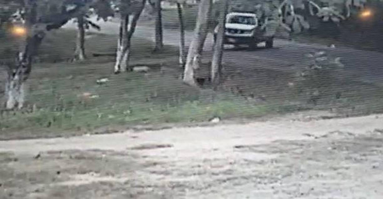 El impacto fue en la puerta del piloto, por lo que Herrera sufrió un golpe directo y murió al instante. 