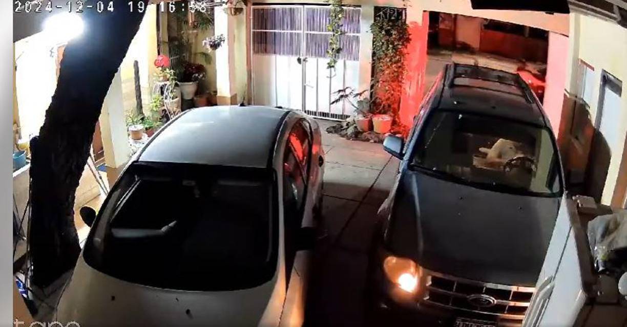 Las cámaras de seguridad instaladas en la propiedad captaron el impactante momento en que los asaltantes amenazaron a la pareja con armas de fuego, generando pánico y desesperación.