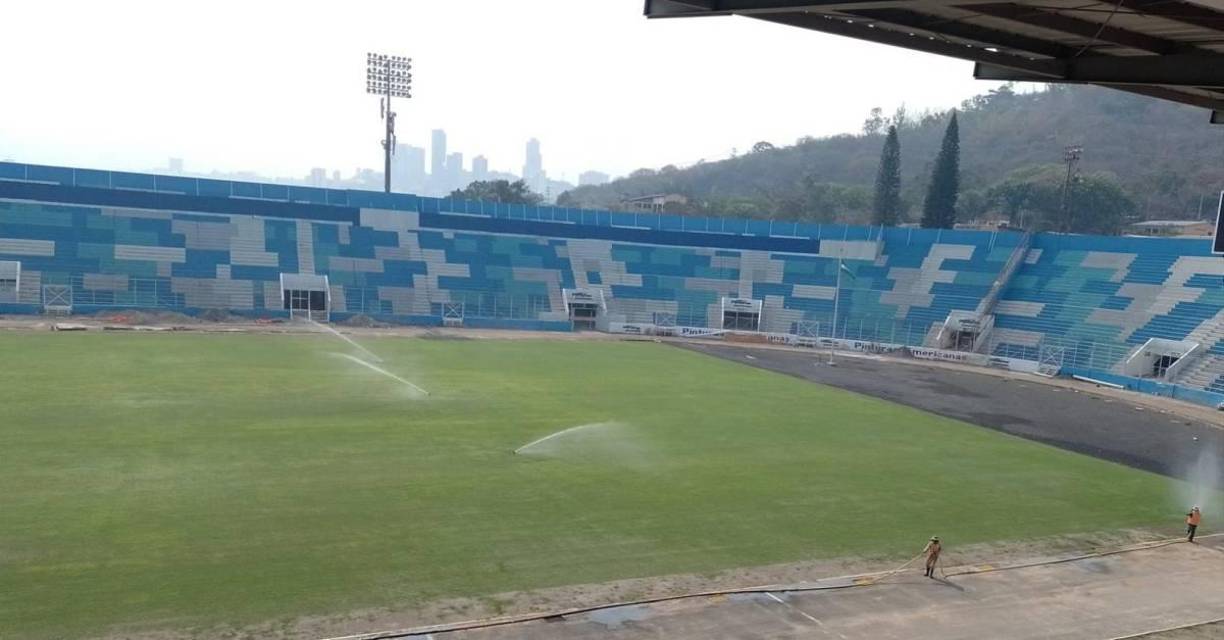 Dos cortes se le han realizado en las dos últimas semanas y ya se nota la combinación de la gramilla híbrida y natural que componen el Chelato Uclés.