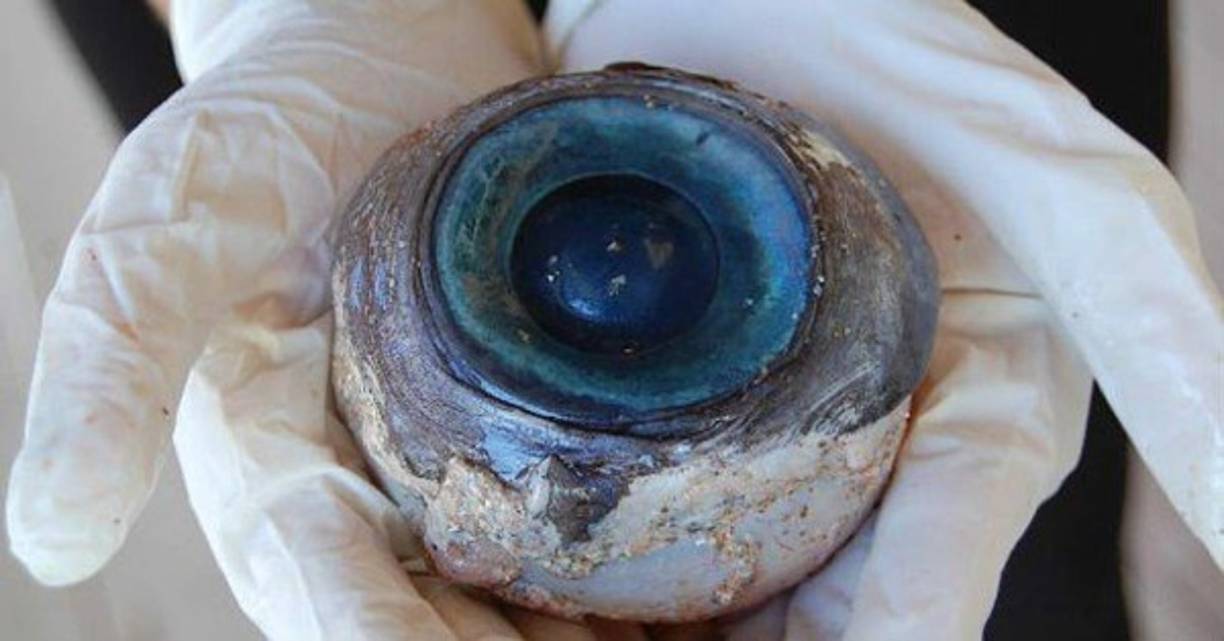 10.- Ojos de atún<br/><br/>Tanto en China como en Japón son considerados una verdadera delicia. En algunos sitios son comidos cocidos aunque también pueden comerse completamente crudos.