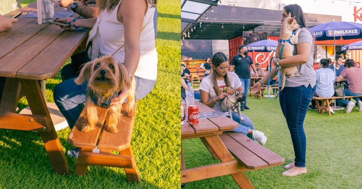 KETCHUP BEER GARDENUno de los lugares en tendencia por su ambiente único y juvenil, se encuentra en Villas Mackay, 13 calle, 1 avenida. 