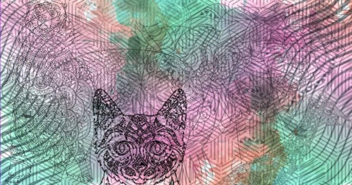 Si el gato fue el primer animal que viste, entonces eres el tipo de persona que es un guerrero y un sobreviviente. Como un gato, puedes hacer casi cualquier cosa para asegurarte de sobrevivir. Tienes un instinto asesino que realmente te guía como luchador.<br/><br/>Además, eres alguien que prefiere estar solo. En realidad, no te molesta demasiado lo que la gente tiene que decir sobre ti y tú haces lo tuyo. No hace falta decir que eres alguien talentoso y hecho para ser diferente.