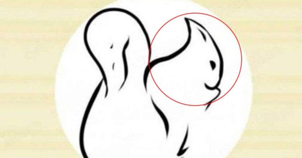 Ardilla: <br/><br/>Sos una persona muy perfeccionista y extremadamente lúcida, atenta y súper detallista. Jamás vas a improvisar, o tomar una decisión apresurada, sin analizar muy bien los pro y los contra.