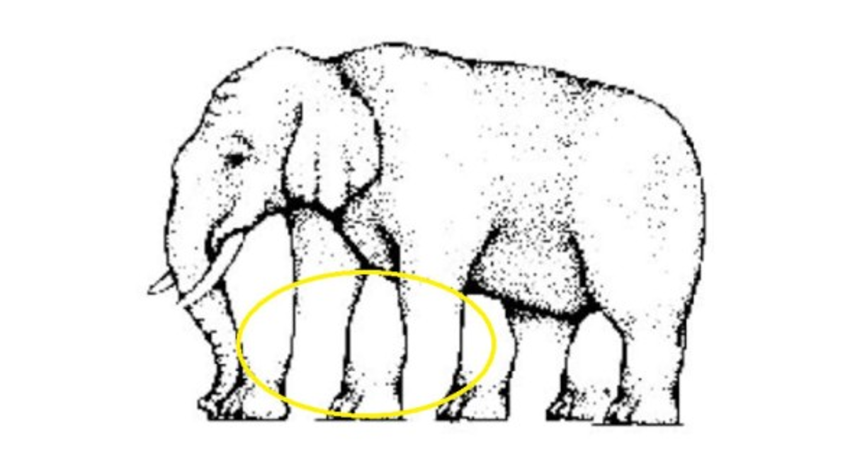 Dos patas: Eres una presona que se deja llevar por lo primero que ves. Así eres con tus relaciones personales. Tenemos que decirte que tu respuesta es incorrecta.