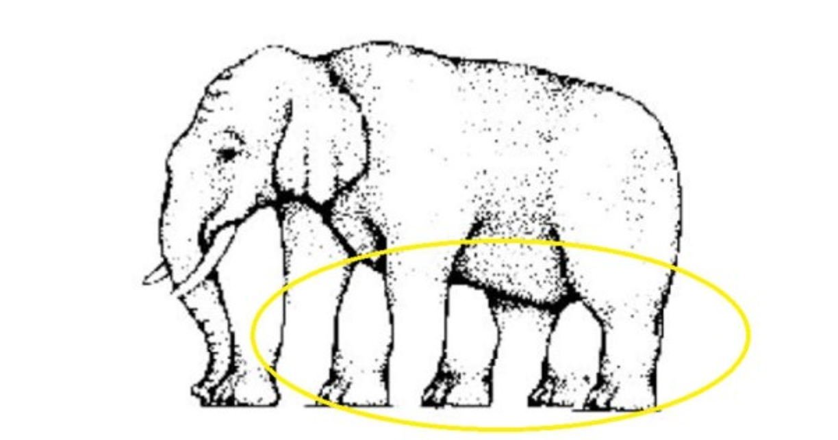 Cuatro o más patas: Tu respuesta también es incorrecta, no eres una persona muy analítica, los retos visuales no se te dan bien.
