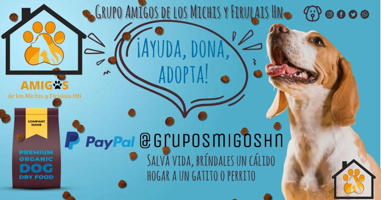 AMIGOS DE LOS MICHIS Y LOS FIRULAIS: (Tegucigalpa) “Somos un grupo de personas orientadas al rescate, esterilización de felinos y caninos que no tienen hogar, fomentamos la adopción responsable”, afirman.Contactos: 9616-0420 / gamigos2021@gmail.com