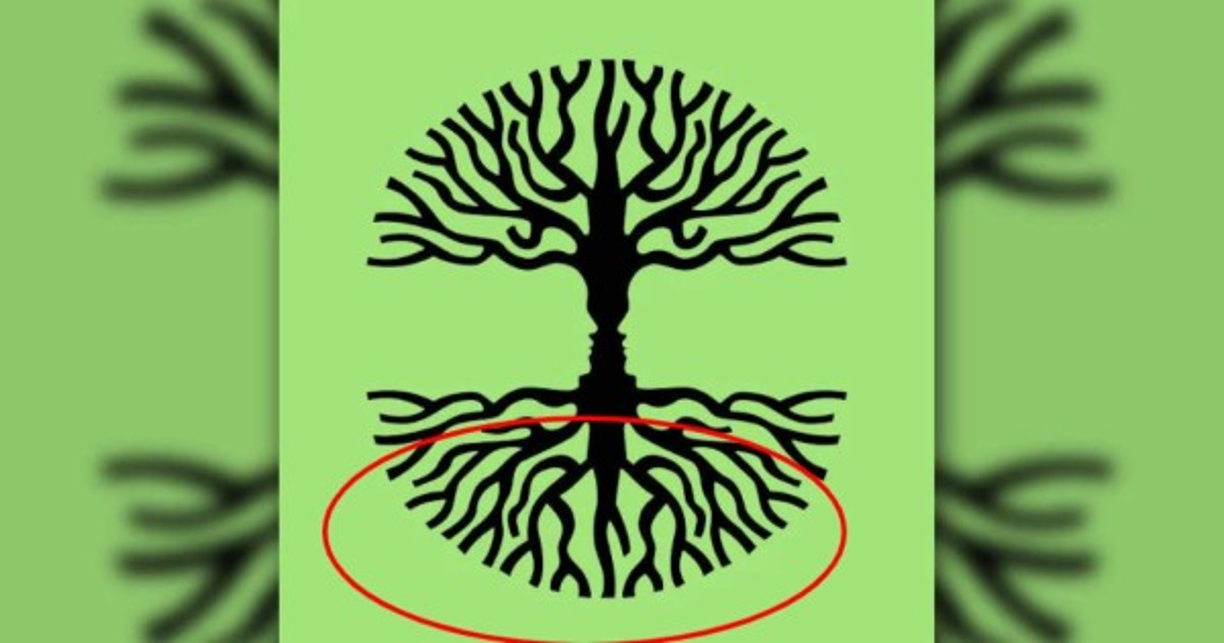 Raíces del árbol: energía amorosa<br/><br/>Si lo primero que viste fueron las raíces del árbol, la energía que estás vibrando hoy es de amor. Puede que sientas necesidad de ver a alguien que quieres mucho o que recibas visitas tú. Querrás abrazar y que te abracen. Es momento para conversar sincera y profundamente; o para perdonar a alguien que te ha hecho daño.