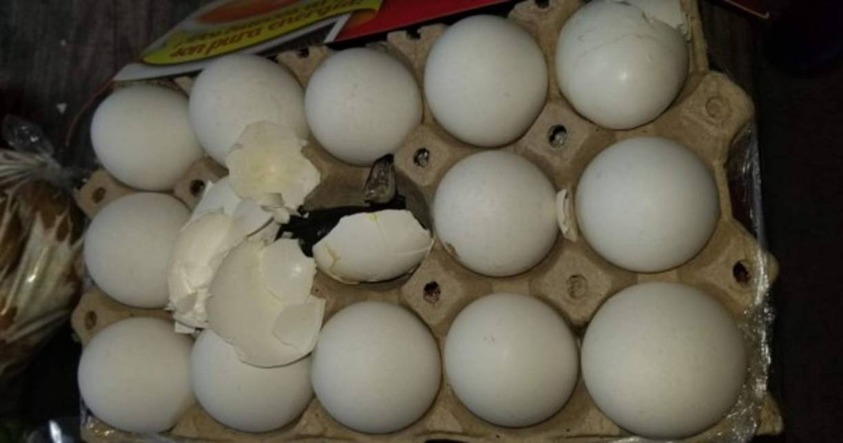 En un medio cartón de huevos ocultaron la marihuana los jóvenes.