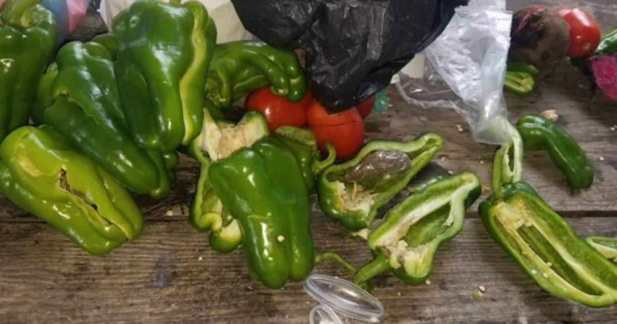 En total los jóvens transportaban 28 carrucos de marihuana distribuidos en chiles dulces, huevos y desodorantes.