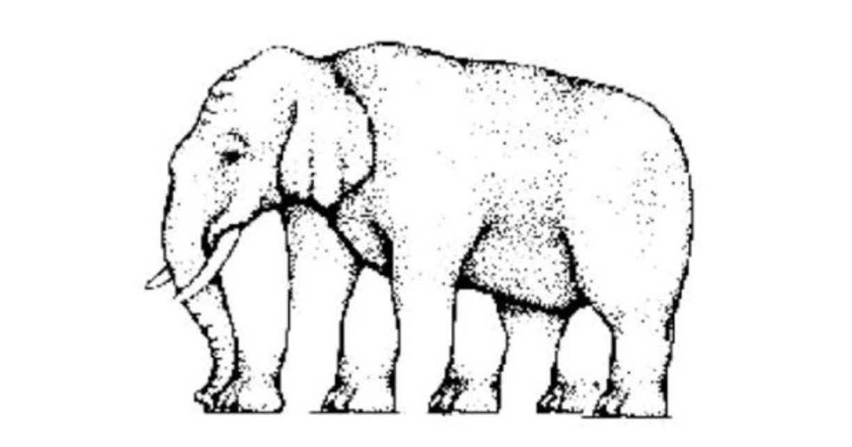 Este nuevo test de inteligencia pondrá a prueba tu agilidad visual. Observa la imagen y comenta cuántas patas tiene el elefante.