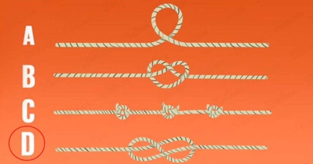 Cuerda D<br/><br/>Sos una persona que tiene la capacidad de soportar mucha presión, por ello en tu trabajo siempre te va de maravilla, aunque también tienes ideas muy firmes, por lo que nunca las cambias.