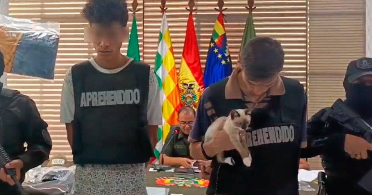 Fuentes policiales indicaron que el gato no pudo ser separado de su dueño.