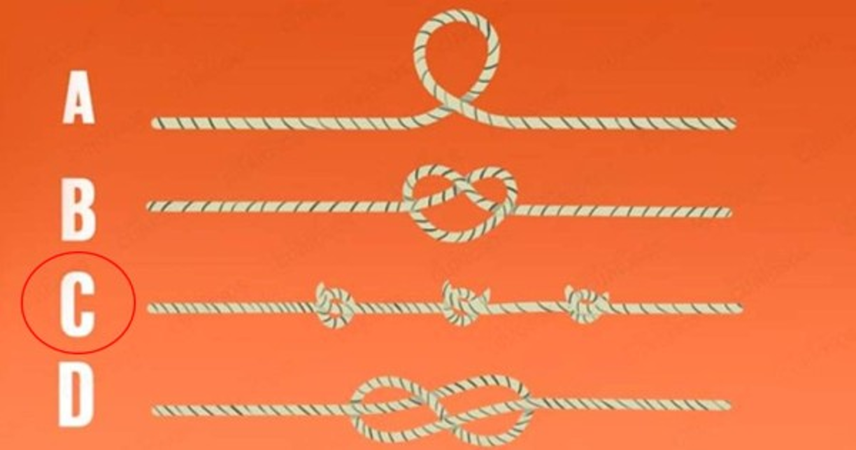 Cuerda C <br/><br/>Una de tus principales características es que tienes dotes como escritor. Sin duda serías un excelente maestro, enseñar a generar conciencia, ya que es parte de tu talento transmitir ideas y perfeccionar la oratoria.