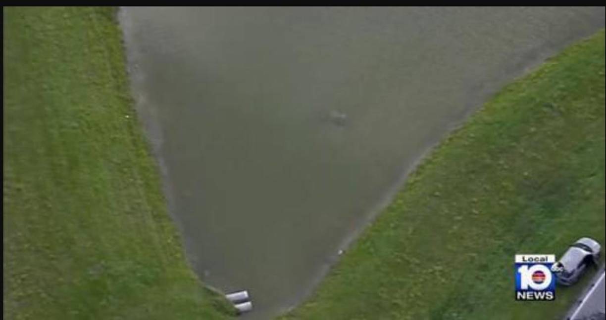 El auto del joven fue encontrado sumergido en un pequeño lago artificial. Allí también estaba su cuerpo sin vida.