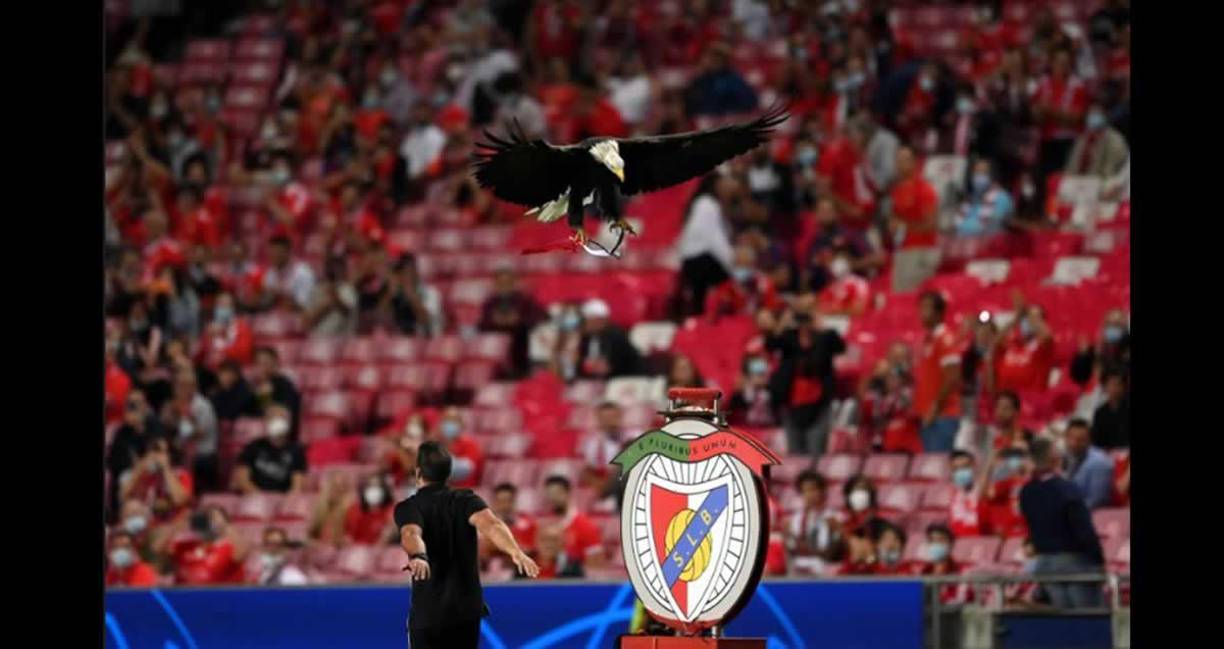 El águila Vitória, la mascota del Benfica.