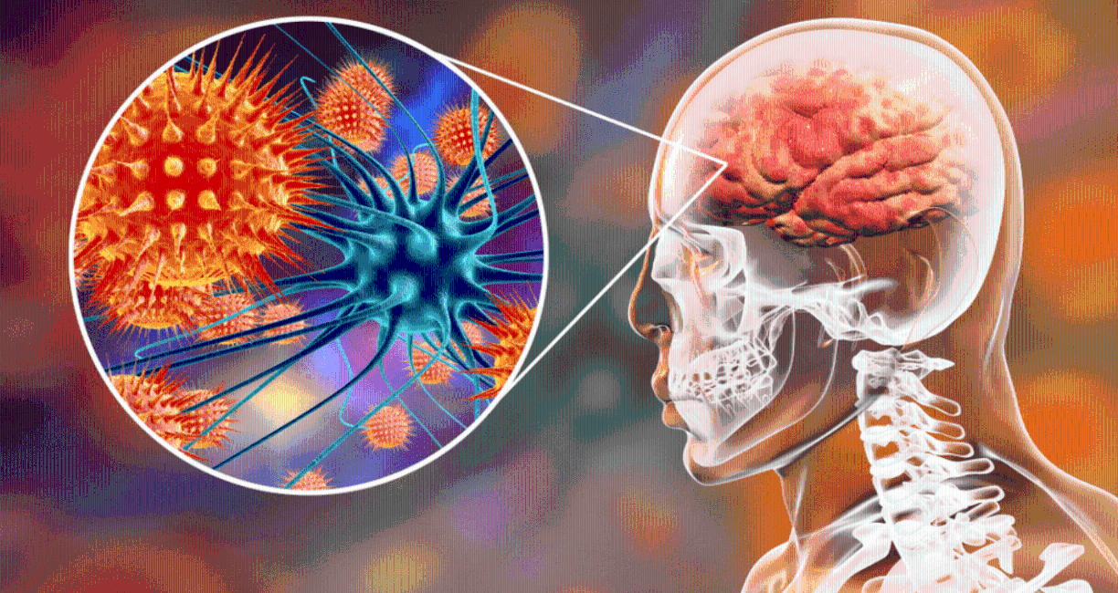 Por ahora, el virus solo se ha detectado en la India, donde autoridades sanitarias trabajan para contenerlo. Ya han cerrado escuelas y oficinas ante el peligro que representa que se convierta en una epidemia y posterior pandemia como ocurrió con el covid-19. 