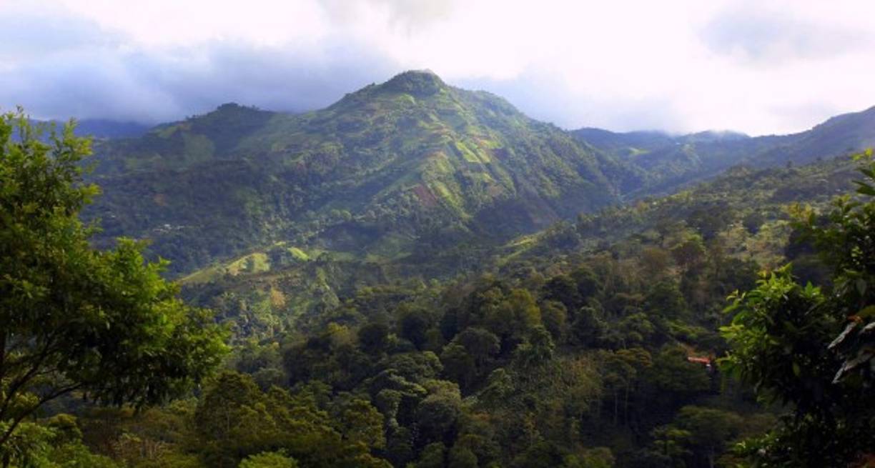 La vista del Merendón desde la urbe sampedrana es un descanso visual entre la industria y vida ajetreada de la ciudad
