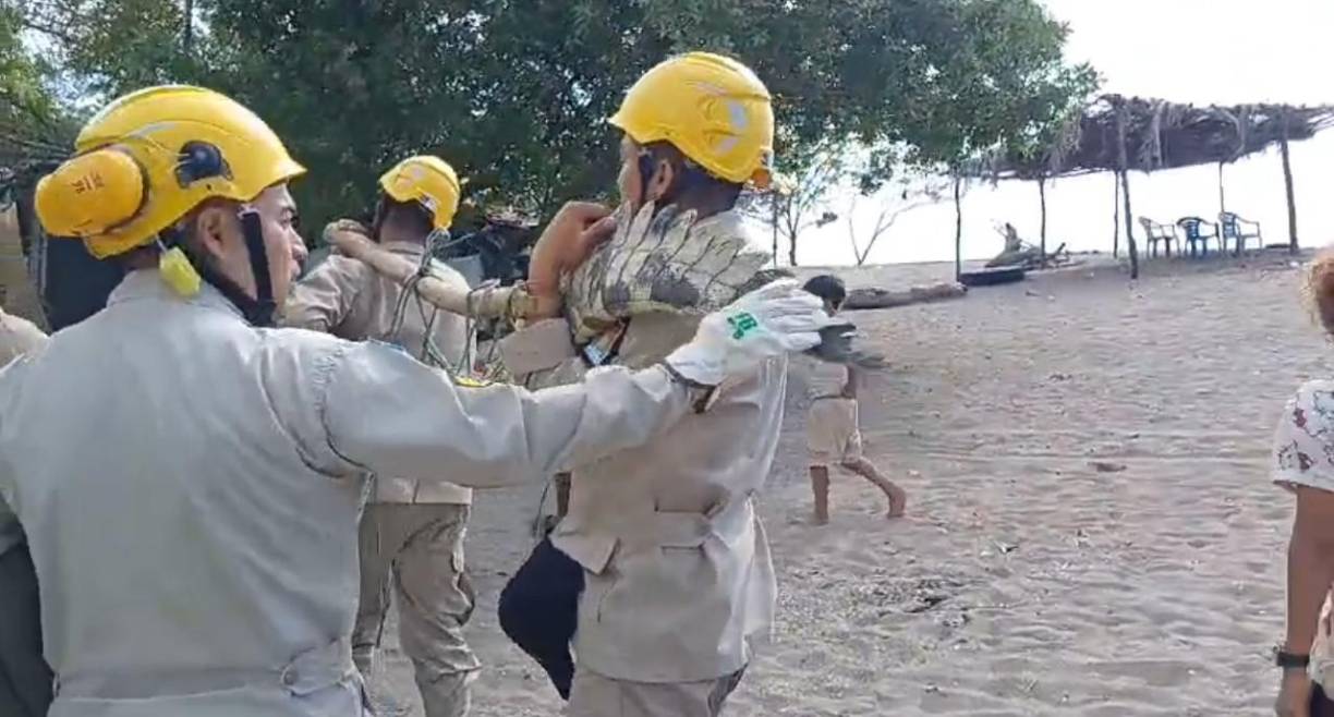 Atado de cuerpo y su largo hosico fue retirado de las playas el animal por los Bomberos.