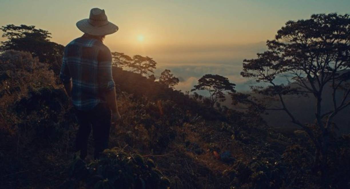 Café con sabor a mi tierra es una película bajo el sello de Sin Fronteras Estudios e inspirada en hechos reales, esta gira en torno a una familia productora de café en Marcala, La Paz. Los cafetaleros sufren un duro golpe cuando su cosecha es afectada por la plaga de la roya y por los bajos precios del café.
