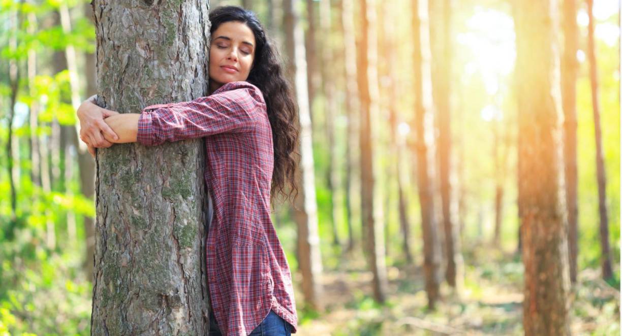 Sin duda, la ecoterapia se ha vuelto más popular en los últimos años para sanar la parte mental del ser humano. <b>Abrazar un árbol</b> e incluso, <b>disfrutar del bosque</b> puede ser de gran ayuda para curar la mente del ser humano. Entre de los beneficios en el aspecto mental, los más importantes son los siguientes: