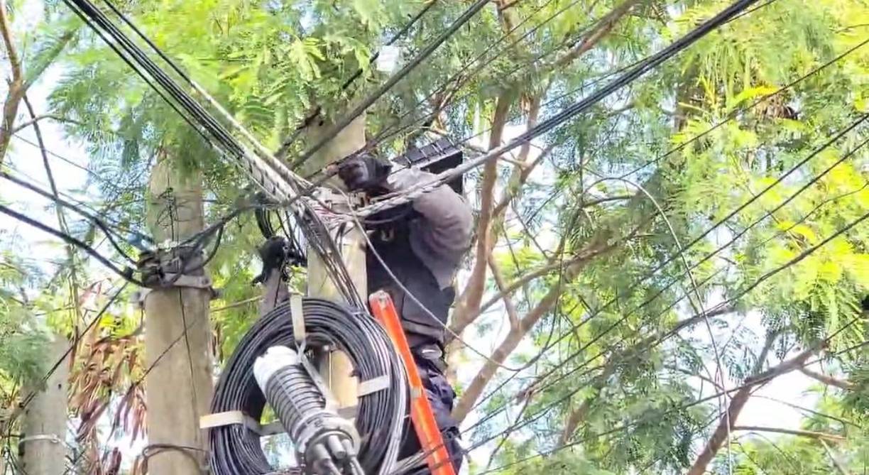 Estas cámaras también facilitan la coordinación de sus actividades delictivas, permitiéndoles supervisar sus operaciones y reaccionar rápidamente ante cualquier eventualidad.