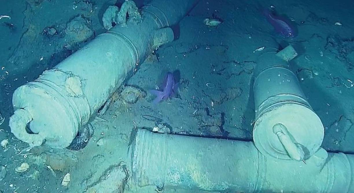 Además las autoridades evidenciaron que allí se creó un “ecosistema dinámico y vivo”, donde nadan a gusto especies de peces como tiburones. 