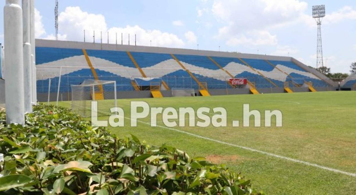 La grama del estadio luce impecable.