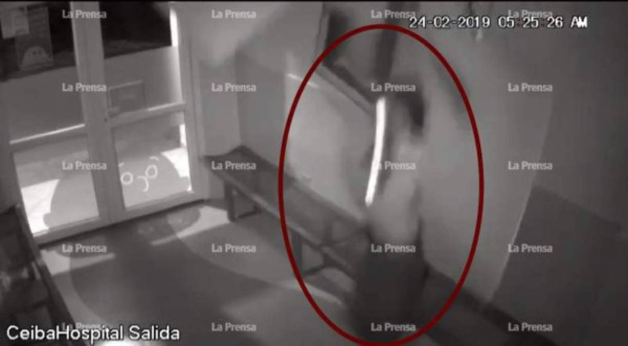 Video: guardia cae de techo cuando robaba en Clínica del Niño con Cáncer<br/><br/>Un guardia de seguridad fue captado en video cuando se introdujo a robar en las instalaciones de la Clínica de Atención del Niño con Cáncer en La Ceiba, Atlántida, Caribe de Honduras, ubicadas en los predios del hospital Atlántida. El guardia protagonizó el insólito hecho registrado en la madrugada del pasado sábado y sin que se percatara de que estaba siendo grabado por las cámaras de vigilancia del local.<br/>