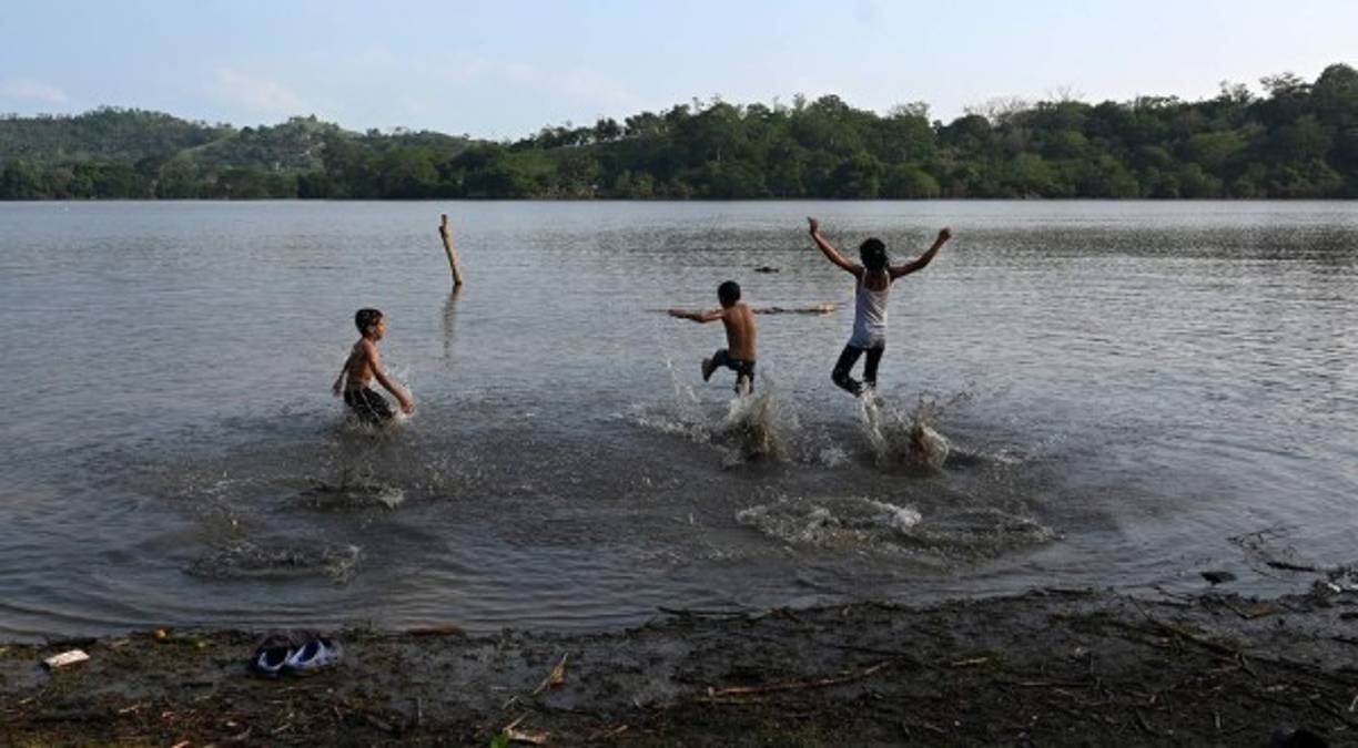El cambio climático afectó drásticamente a la laguna de Jucutuma, ubicada en San Pedro Sula, la cual llegó a secarse. Sin embargo, como reza el popular refrán 'después de la tormenta viene la calma', así sucedió con esta joya natural que tras el paso de la depresión tropical Eta ha vuelto a la vida.