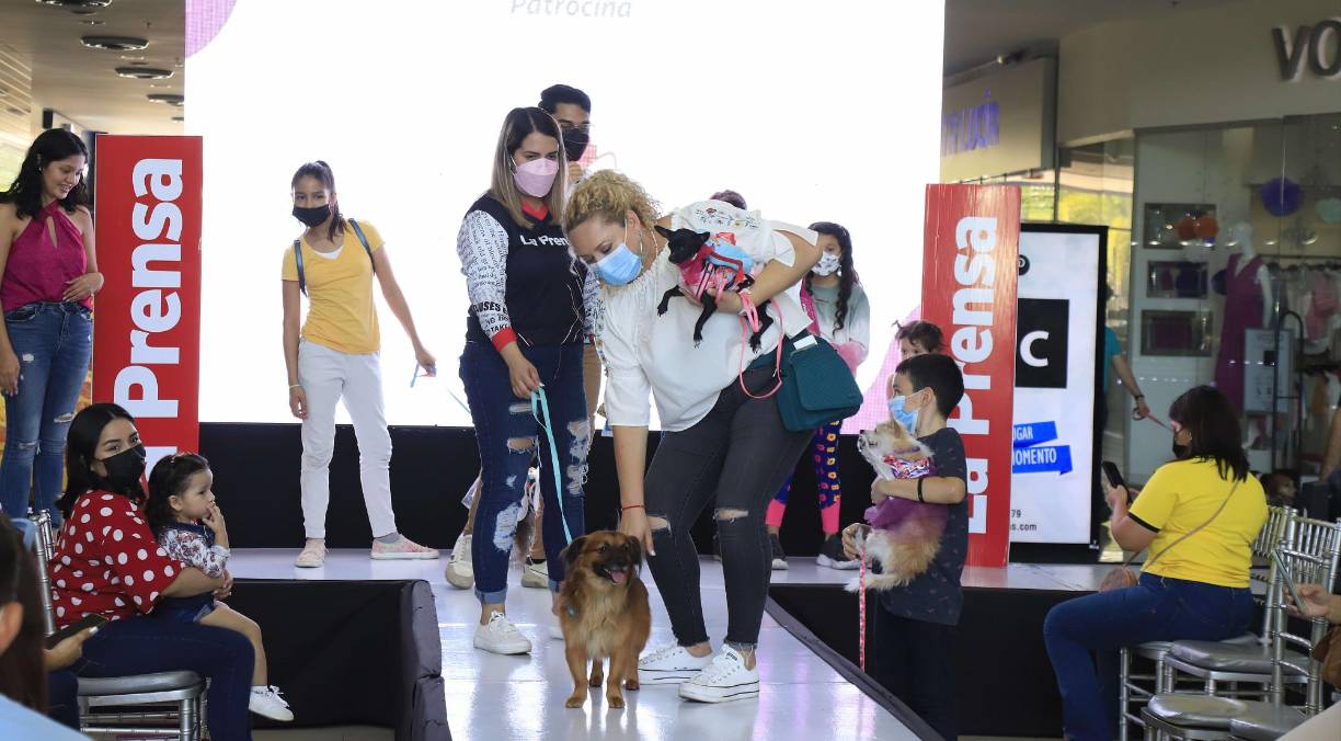 Y felices algunos encontraron un nuevo hogar.