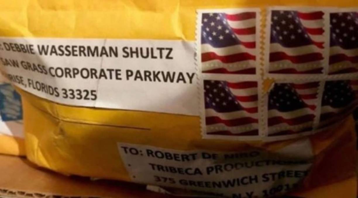 Schultz representa en la Cámara de Representantes a un distrito de Florida y, entre 2011 y 2016, fue la presidenta del Comité Nacional Demócrata (DNC, en inglés), el órgano que dirige el Partido Demócrata.