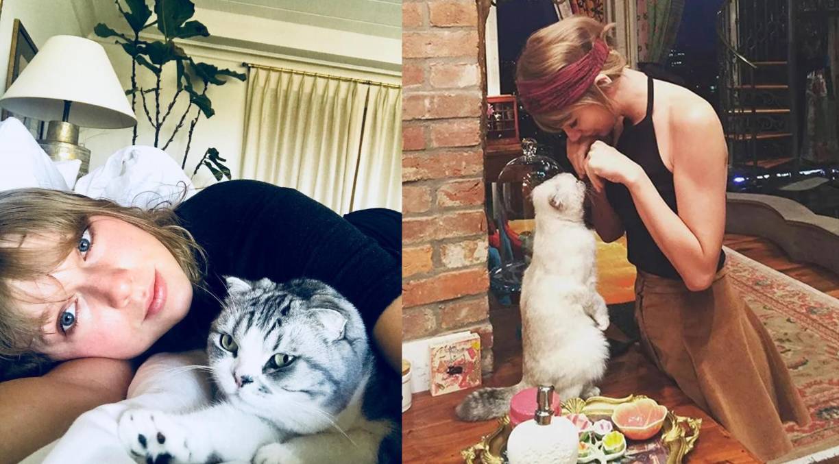 <b>Es amante de los gatos</b>. Tay siempre ha utilizado sus redes sociales para expresar el profundo afecto que siente por sus tres gatitos: Meredith, Olivia y Benjamin Button. La cantautora siempre ha sido defensora de los derechos de los animales y promueve la adopción de estos. 